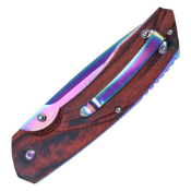 Classic Buckshot Spring Asissted Pocket Knife