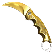 8.5'' Pouch Karambit Knive