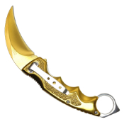 8.5'' Pouch Karambit Knive